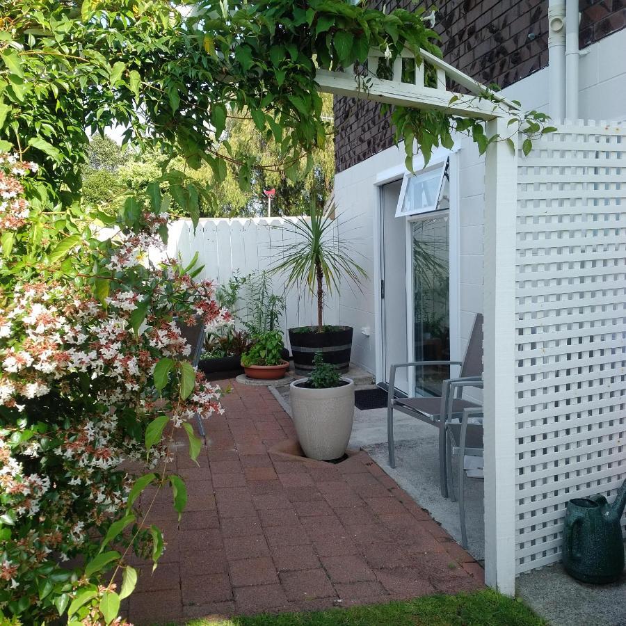 Вилла Large Studio With Private Patio, Sky Tv & Wifi Маунт-Маунгани Экстерьер фото